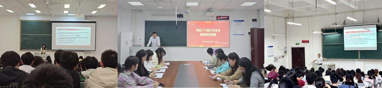 图片11.png