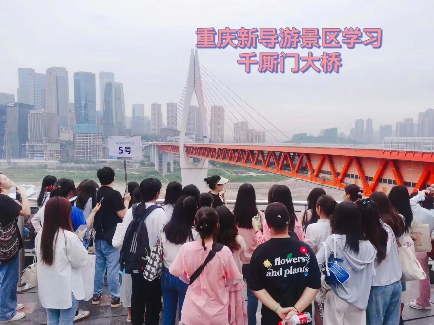 图片8.png