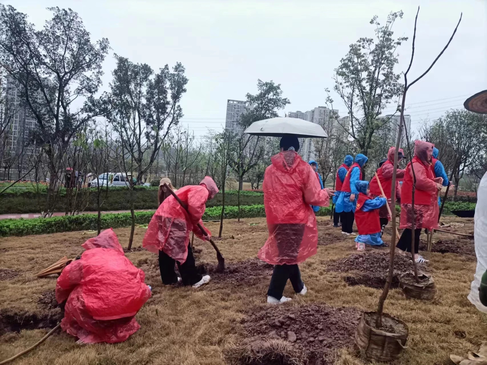 0327植树4.jpg