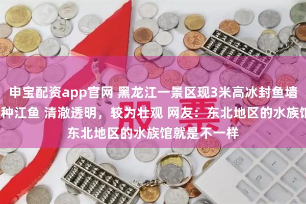 申宝配资app官网 黑龙江一景区现3米高冰封鱼墙 展示了20余种江鱼 清澈透明，较为壮观 网友：东北地区的水族馆就是不一样