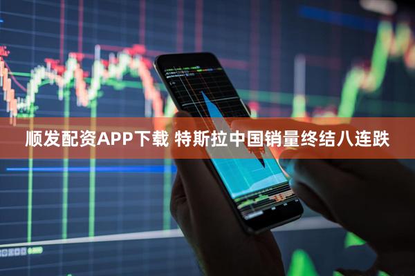 顺发配资APP下载 特斯拉中国销量终结八连跌