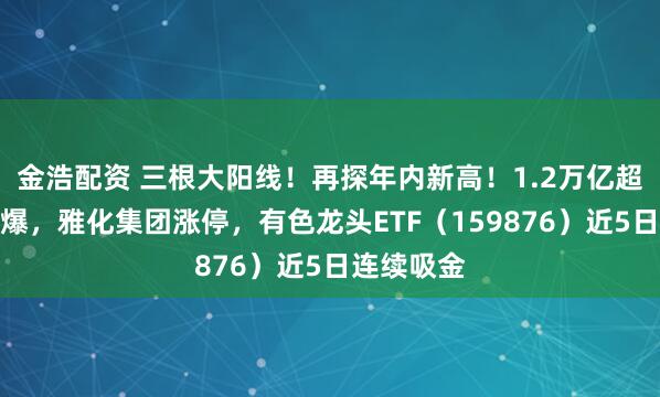 金浩配资 三根大阳线！再探年内新高！1.2万亿超级工程引爆，雅化集团涨停，有色龙头ETF（159876）近5日连续吸金