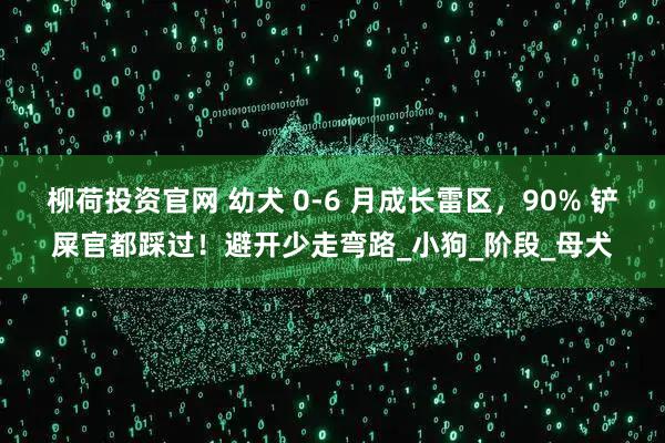柳荷投资官网 幼犬 0-6 月成长雷区，90% 铲屎官都踩过！避开少走弯路_小狗_阶段_母犬
