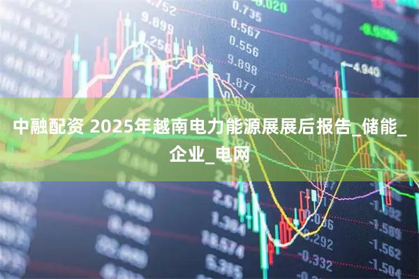 中融配资 2025年越南电力能源展展后报告_储能_企业_电网