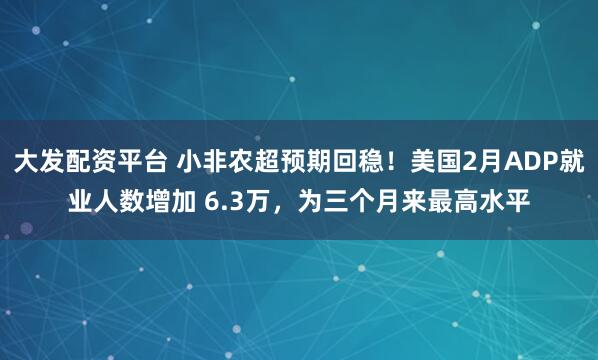 大发配资平台 小非农超预期回稳！美国2月ADP就业人数增加 6.3万，为三个月来最高水平